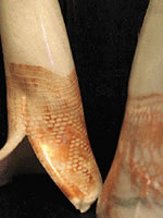 Haapsalu Klaasip&auml;evad 2005