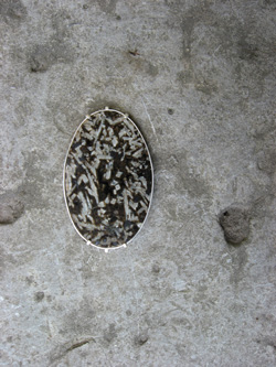 Viivi Aavik. S&uuml;nopsis